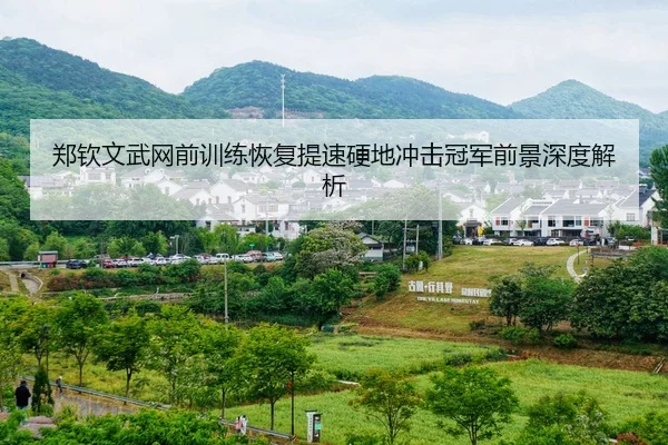 郑钦文武网前训练恢复提速硬地冲击冠军前景深度解析